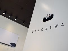 -BLACKSWAN黑天鹅(环球店)