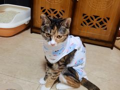 -萌兽医馆·犬猫专科·眼科中心·宠物医院(朝阳门分院)