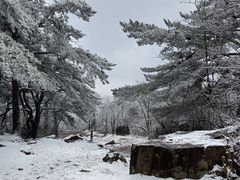 -湖州龙王山景区