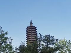-西海子公园