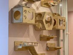 -猫咪派对(江南西店)