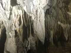 -怀托摩萤火虫洞