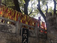 -大槐树寻根祭祖园