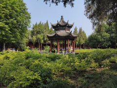 -洛阳白马寺
