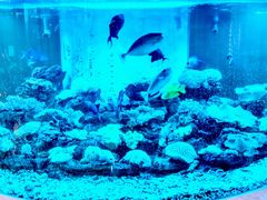 -碧中海汤泉汗蒸酒店