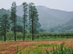 -东钱湖旅游度假区
