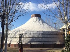 -九十九顶毡房(阜石路店)