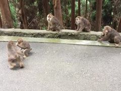 -太阳湾风景区