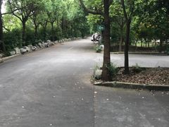 -安飞驰驾校·学车连锁(金高店)