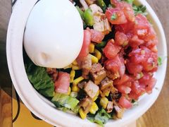 -油梨树AVOCADO TREE(望京店)