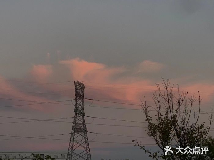 放鹰台遗址图片