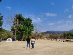 -牛岗山公园
