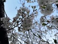 -上海体育场(地铁站)