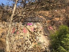 -牛鱼嘴原始生态风景区