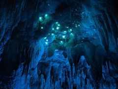-怀托摩萤火虫洞