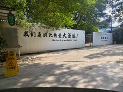 -芭厘·农庄老字号.电饭煲五指毛桃焗鸡