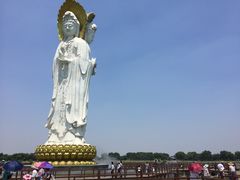 -白洋淀景区