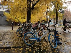 -四川大学(华西校区)