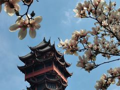-塔子山公园