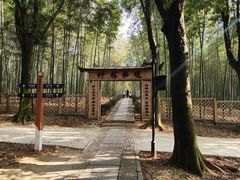 -大奇山国家森林公园