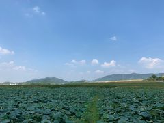 -光明小镇欢乐田园