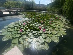 -南北湖风景区