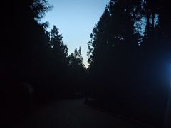 -长虫山生态公园风景林
