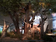 -中国湿地博物馆