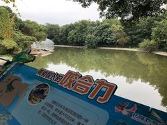 -广州长隆飞鸟乐园