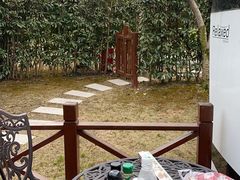 -东平国家森林公园