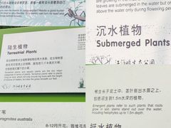 -西湖风景区-江洋畈生态公园