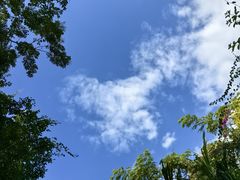 -野象谷景区