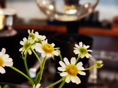 -参差咖啡(水果湖公园店)