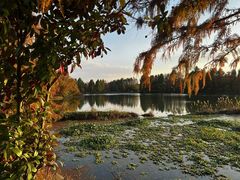 -上海海湾国家森林公园