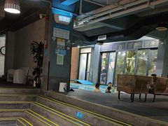 -IBOBI亲子游泳俱乐部(华侨城中心)