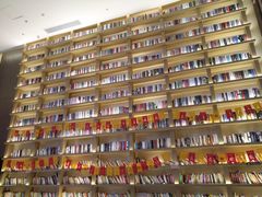 -深影国际影城(学院南路店CGS中国巨幕店)