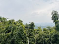 -莫干山风景区