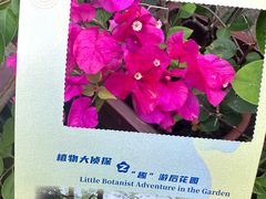 -广州花园酒店-凌璇阁360度高空海鲜自助餐CAROUSEL