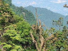 -峨眉山风景名胜区