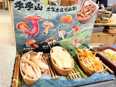 -季季山·云南野生菌火锅(上海首店)