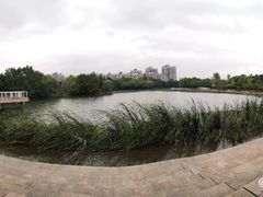-新江湾城公园