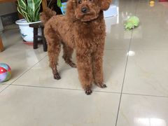 -惠康宠物医院(华能路店)