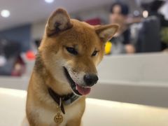 -NOTBAD 须时·咖啡馆