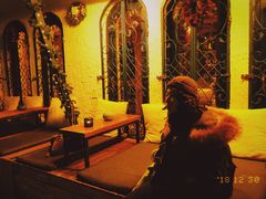 -Sirena海妖日咖夜酒