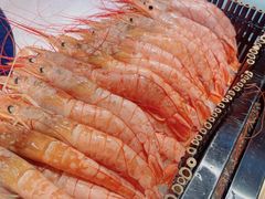 阿根廷红虾-济南蓝海御华大饭店·蓝钻国际美食自助百汇(山东书城店)