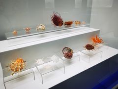 -贝壳王国博物馆