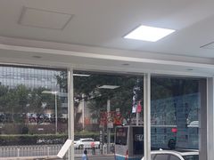-北京观赏动物医院·24小时大型综合·猫专科·异宠专科