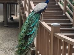 -沈阳鸟岛