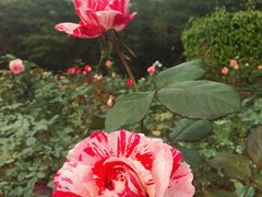 景点-人民公园(罗湖区)