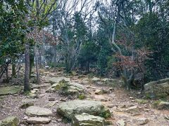 -虞山风景区